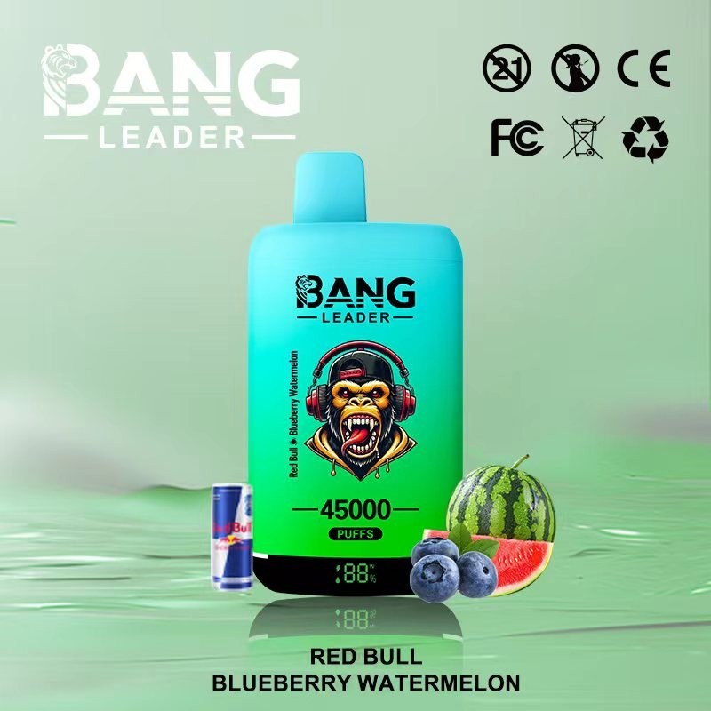 Bang Leader 45000 Puffs Double Flavor Vape | 45K Disposable Vape with Dual Mesh Coil & 650mAh Rechargeable Battery