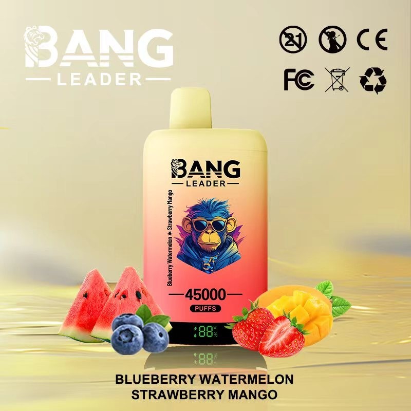 Bang Leader 45000 Puffs Double Flavor Vape | 45K Disposable Vape with Dual Mesh Coil & 650mAh Rechargeable Battery