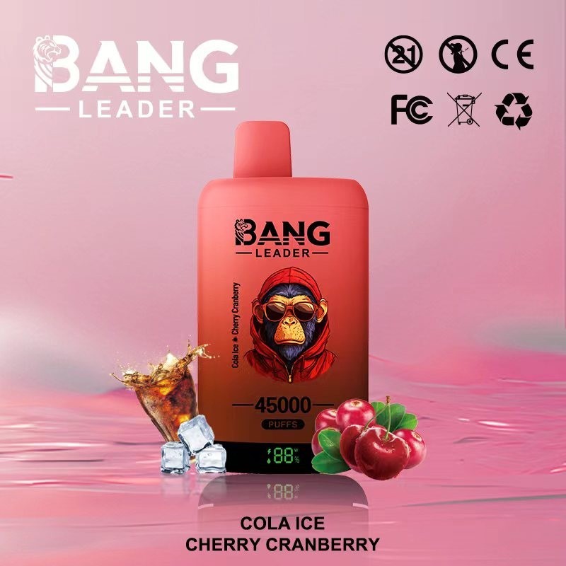 Bang Leader 45000 Puffs Double Flavor Vape | 45K Disposable Vape with Dual Mesh Coil & 650mAh Rechargeable Battery