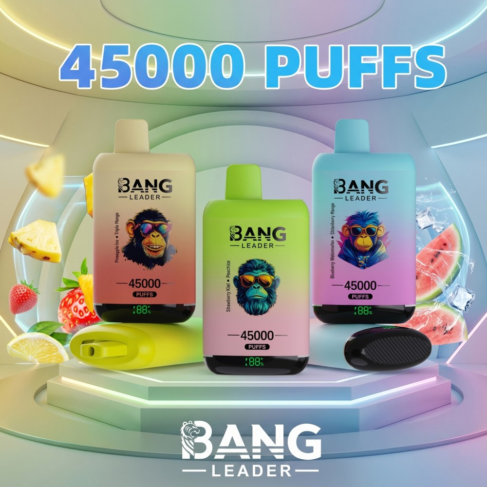 Bang Leader 45000 Puffs Double Flavor Vape | 45K Disposable Vape with Dual Mesh Coil & 650mAh Rechargeable Battery