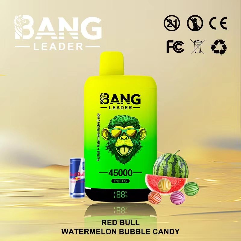 Bang Leader 45000 Puffs Double Flavor Vape | 45K Disposable Vape with Dual Mesh Coil & 650mAh Rechargeable Battery