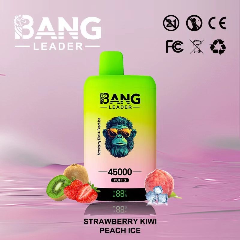 Bang Leader 45000 Puffs Double Flavor Vape | 45K Disposable Vape with Dual Mesh Coil & 650mAh Rechargeable Battery