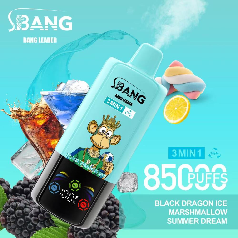 Bang Leader 85000 Puffs Vape 3-in-1 Triple Flavor Disposable Vape – Rechargeable 85K Vape with 850mAh Battery, Dual Mesh Coil & Smart LED Display