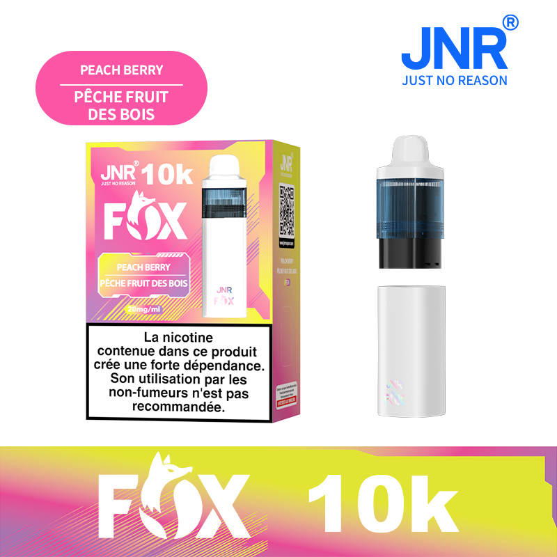 JNR FOX 10K Puffs Pod Kit | TPD Vape System with 2ml Pod, 10ml Refill Tank & 800mAh Rechargeable Battery