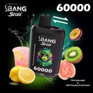 Bang Leader Stoll 60K Puffs 2 IN 1 Vape | 60000 Puff Disposable Vape with Double Flavor System, 40ml E-Liquid, Mesh Coil & 650mAh Battery