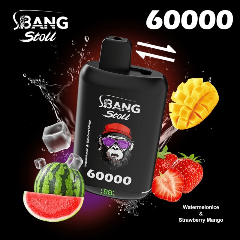 Bang Leader Stoll 60K Puffs 2 IN 1 Vape | 60000 Puff Disposable Vape with Double Flavor System, 40ml E-Liquid, Mesh Coil & 650mAh Battery