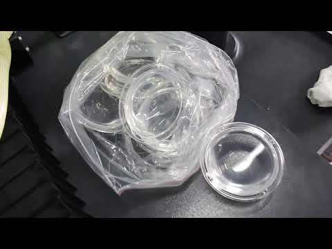 Silicone Automotive Lighting Len Injection Mold