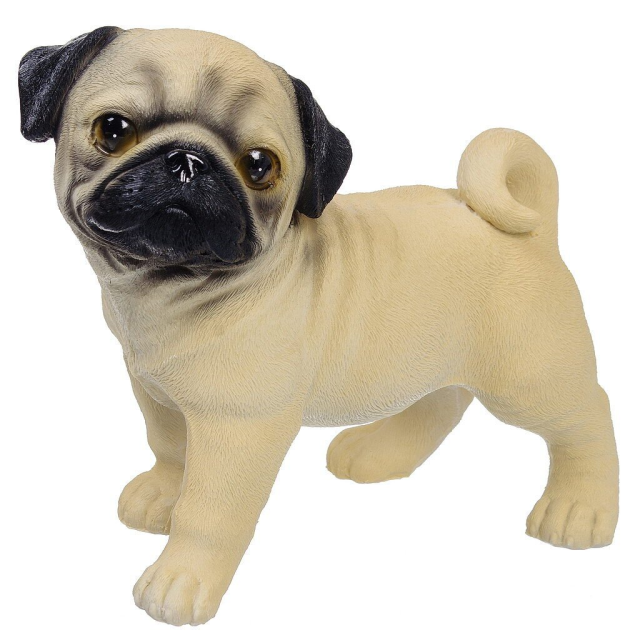 كلب البج المزخرف 21 سم,كلب البج المزخرف 21 سم