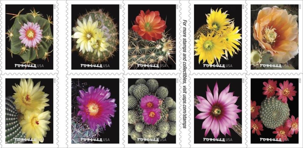 (2019) USPS Cactus Flowers Forever First Class Postage Stamps