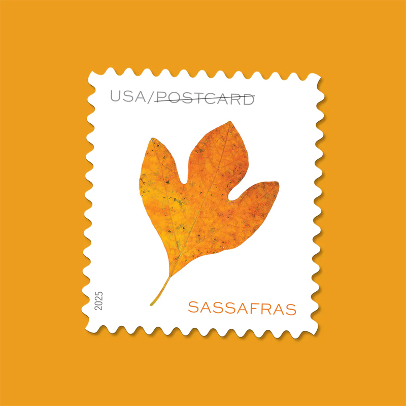 2025 Vibrant Leaves Postcard Stamps, 1 Roll of 100 Pcs Postcard |Multiple Stamp Designs andFormats