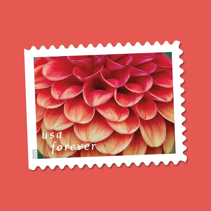 2025 Dahlias Stamps Book of 20
