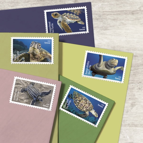 2024 Protect Sea Turtles Stamps