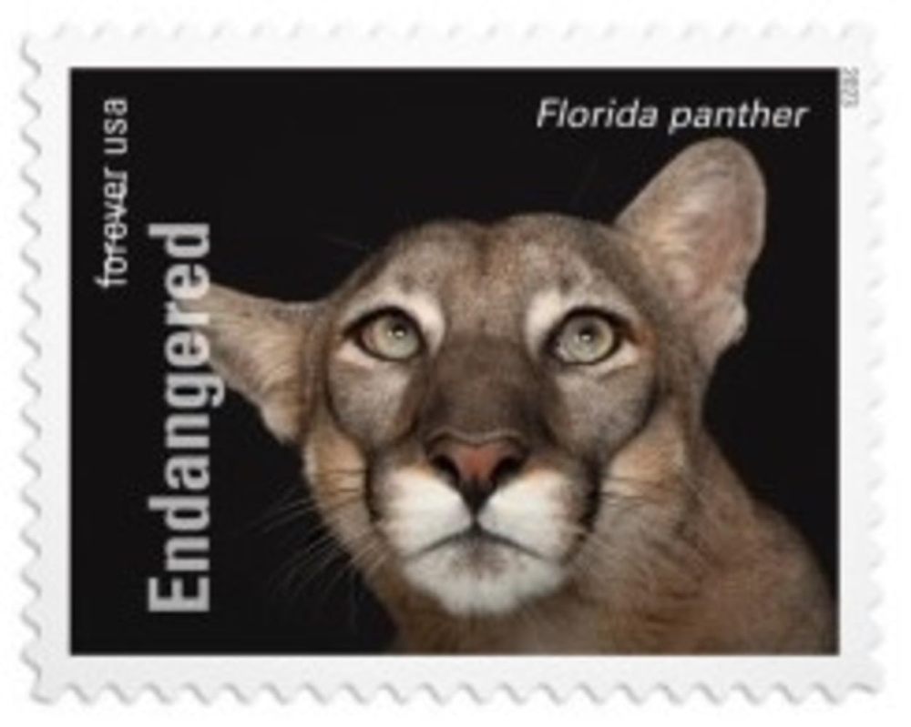 2023 US Endangered Species First Class Postage Forever Stamps