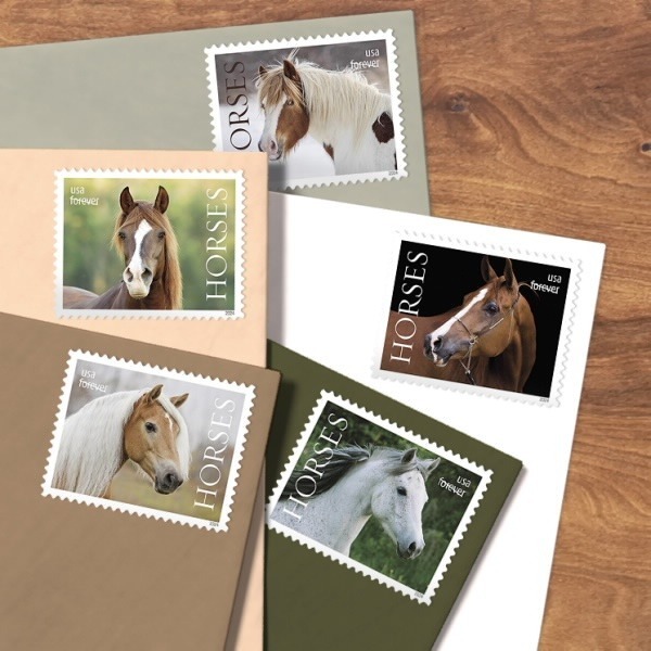 2024 Horses Stamps forever stamps