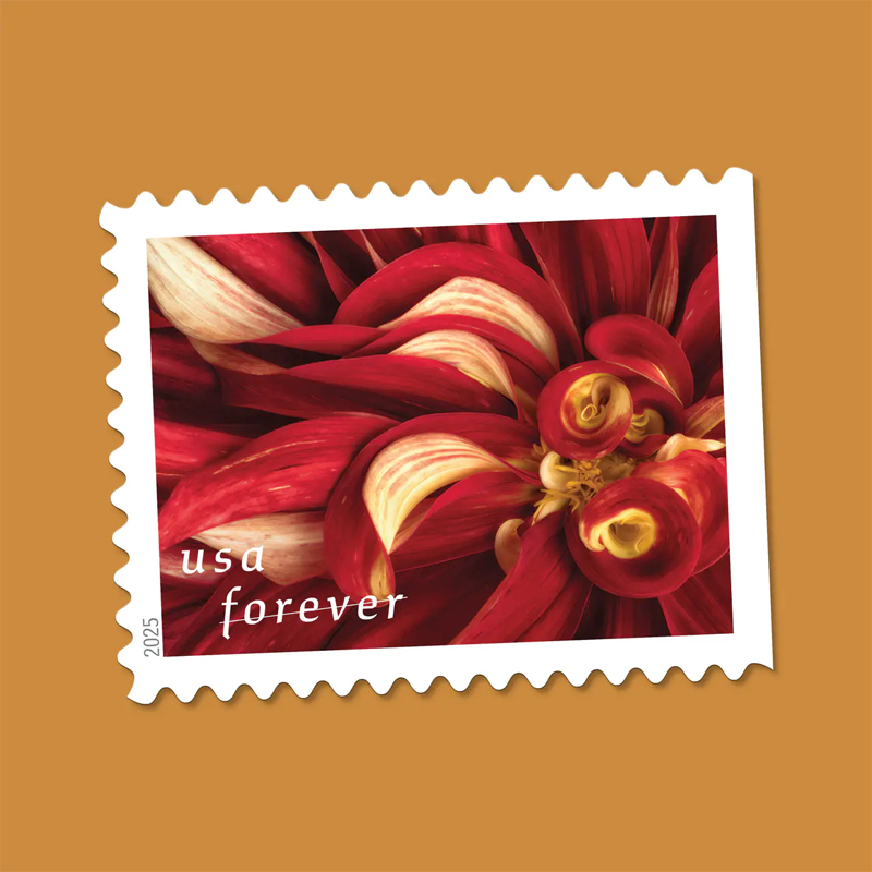 2025 Dahlias Stamps Book of 20