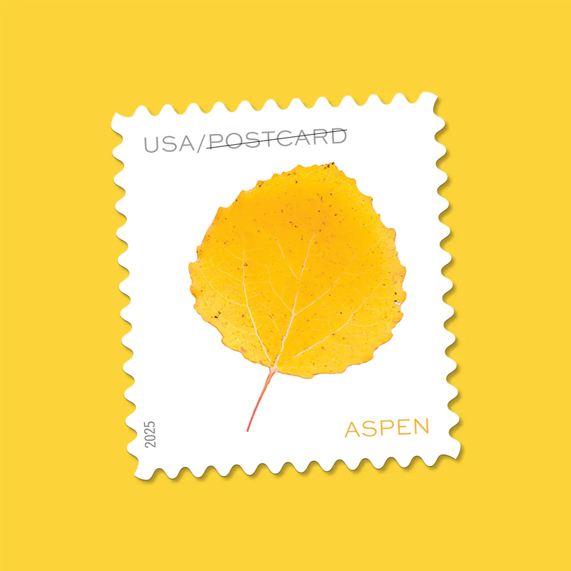 2025 Vibrant Leaves Postcard Stamps, Sheetof 20 Postcard |Multiple Stamp Designs and Formats