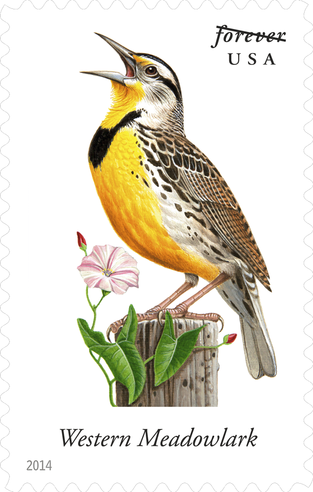 2014  Songbirds