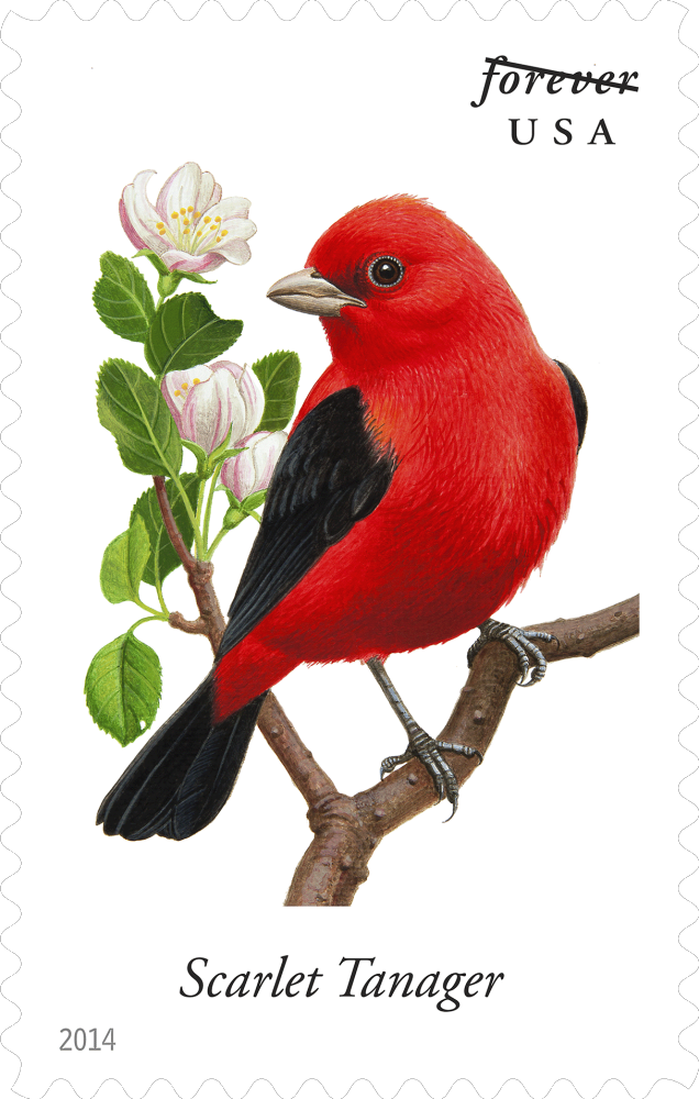 2014  Songbirds