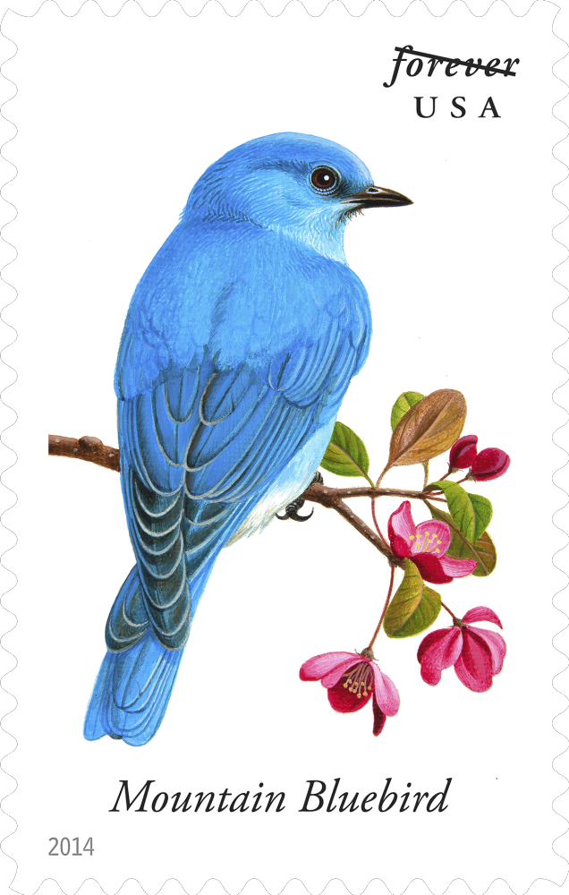 2014  Songbirds