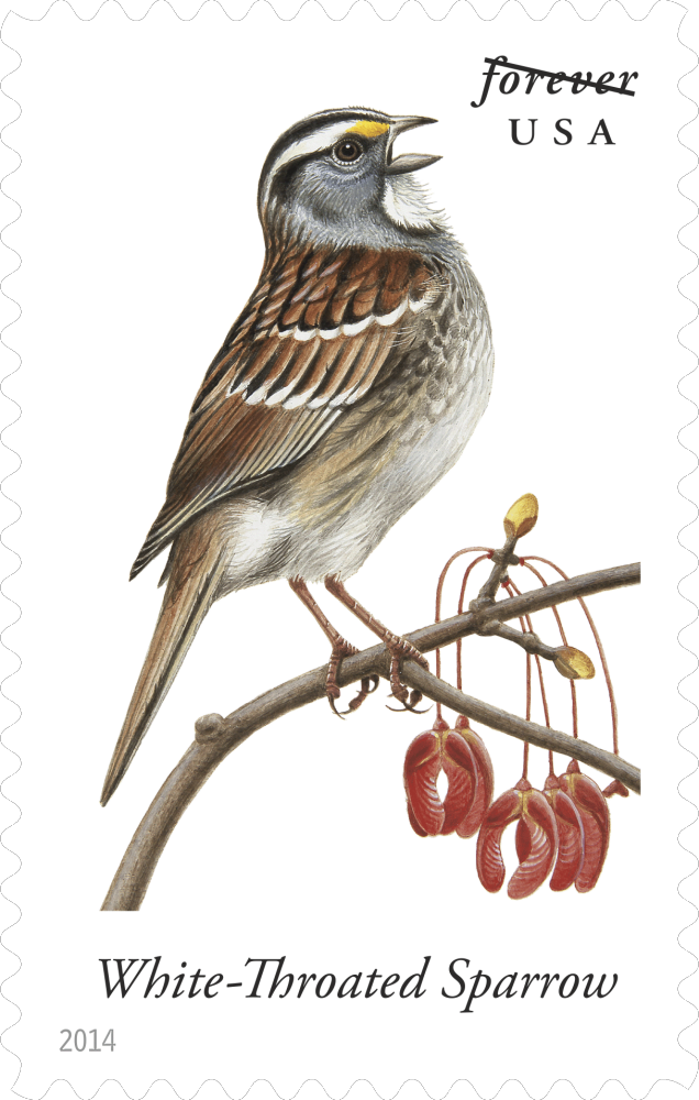 2014  Songbirds