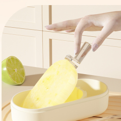 Ice cream mold made of silicone, home made DIY cheese, food grade frozen ice cream with lid, ice box mold