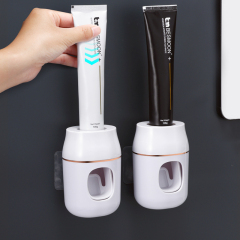 Huamili Automatic Toothpaste Dispenser Space Saving Design Style for Commercial Use-for Hotels Boxed Packed With OEM Options