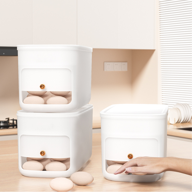 Huamili New Home Trending Egg Storage Box PP Food Storage & Container for Kitchenware