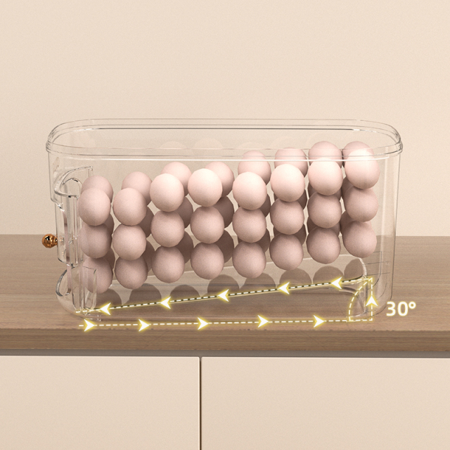 Huamili New Home Trending Egg Storage Box PP Food Storage & Container for Kitchenware