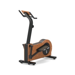 Vélo elliptique CXE1018