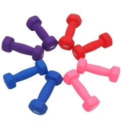 ディッピングプラスチックダンベル CXS2011