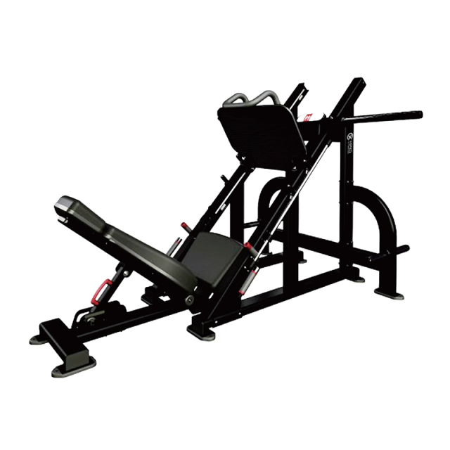 Changxu Fitness 45 Degree Leg Extension CXN1141