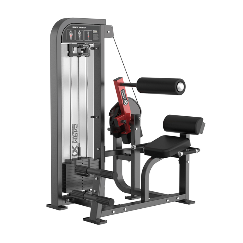 MPKS Fitness Back Extension CXF5039