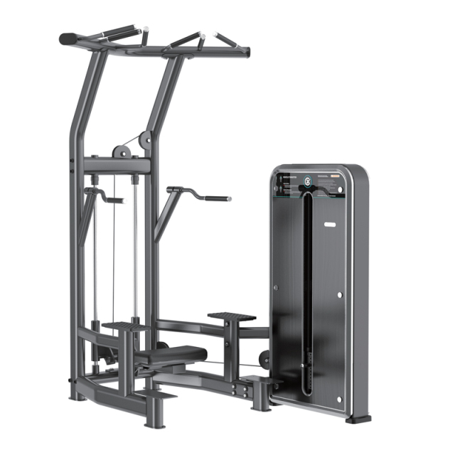 Changxu Fitness Assist Dip Chin CX8008F
