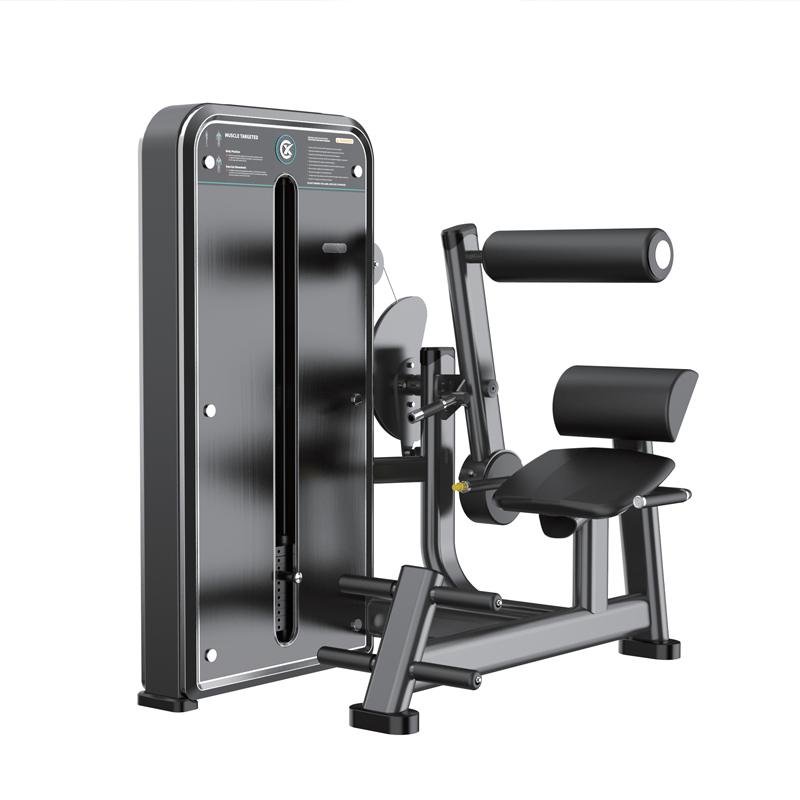 Changxu Fitness Back Extension CX8009