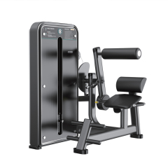 Changxu Fitness Back Extension CX8009