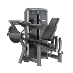 Changxu Fitness Seated Leg Curl CX8013F