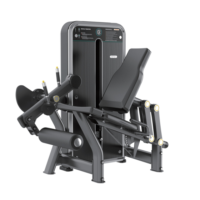 Changxu Fitness Leg Extension CX8014F