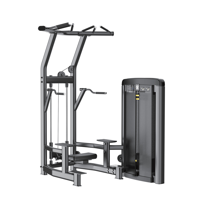 Changxu Fitness Assist Dip Chin CX8008