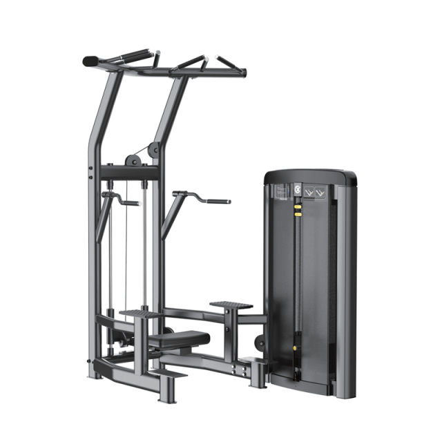 Changxu Fitness Assist Dip Chin CX8008