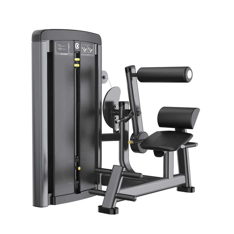 Changxu Fitness Back Extension CX8009