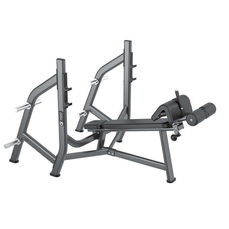 Changxu Fitness Olympic Bench Weight Storage CX8029
