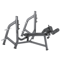 Changxu Fitness Olympic Bench Weight Storage CX8029