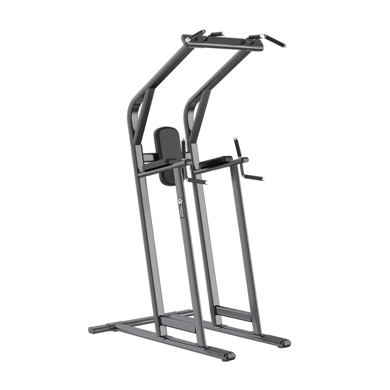 Changxu Fitness Chin/Dip/Leg Raise CX8038