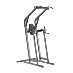 Changxu Fitness Chin/Dip/Leg Raise CX8038