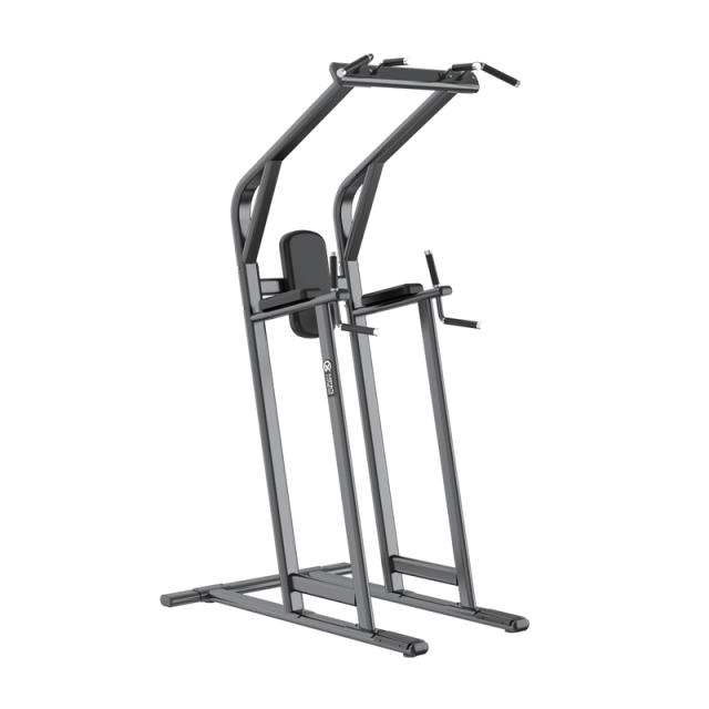 Changxu Fitness Chin/Dip/Leg Raise CX8038