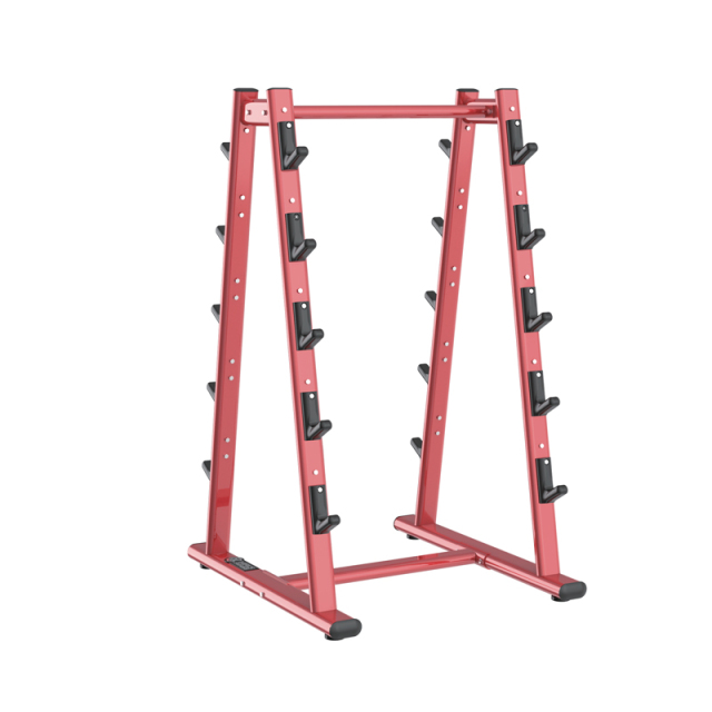 Changxu Fitness Barbell Rack CX-HM29