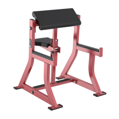 Changxu Fitness Seated Arm Curl CX-HM32