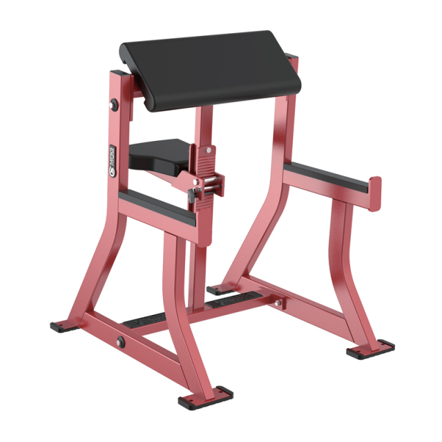 Changxu Fitness Seated Arm Curl CX-HM32
