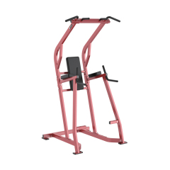 Changxu Fitness Chin/Dip/Leg Raise CX-HM33