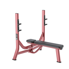 Changxu Fitness Olympic Flat Bench CX-HM35